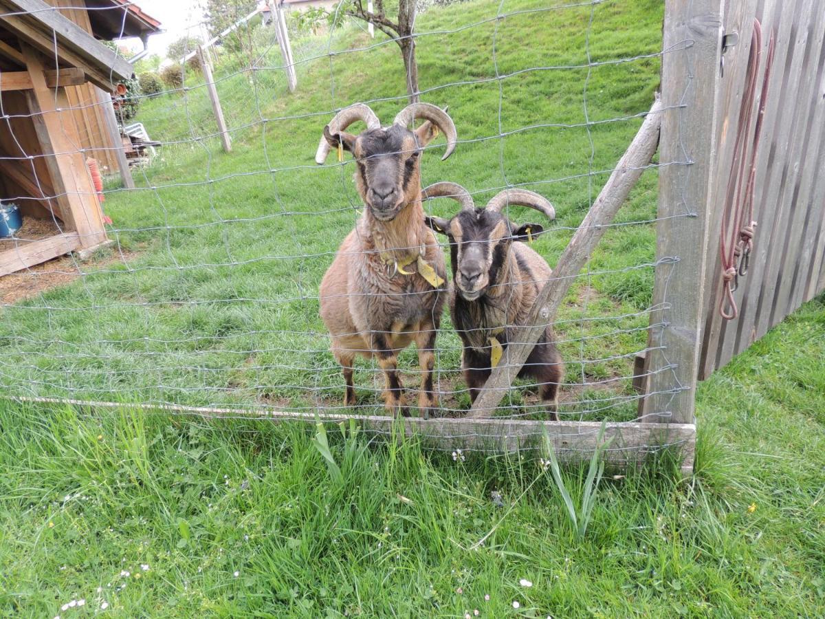 Ferienwohnung Butscher Isny im Allgäu Esterno foto