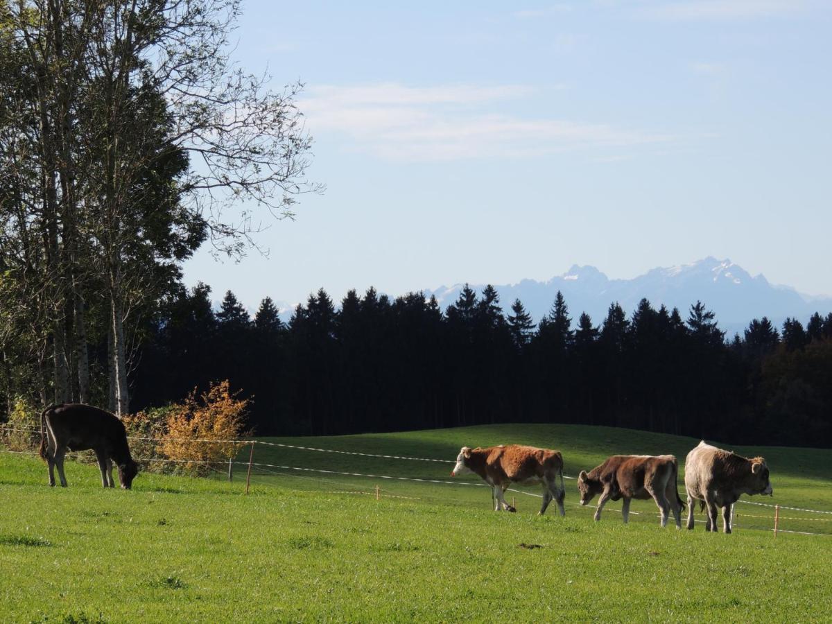 Ferienwohnung Butscher Isny im Allgäu Esterno foto